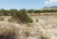 Sale - Land - Aspe Sale - Land - Aspe