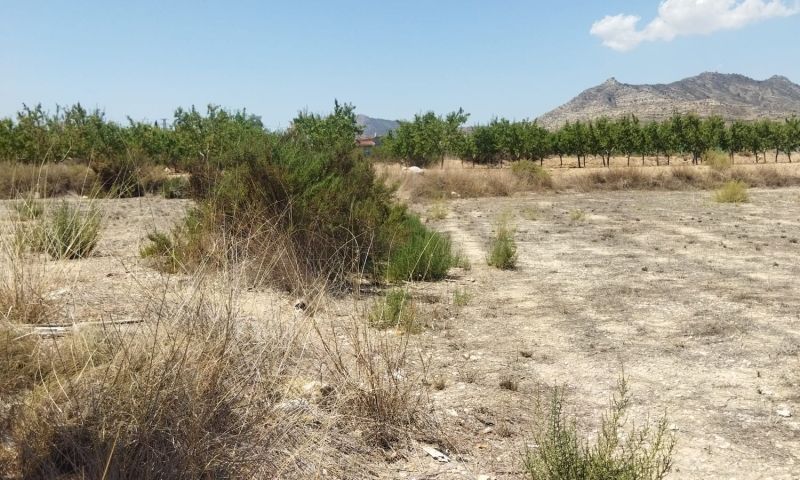 Sale - Land - Aspe Sale - Land - Aspe