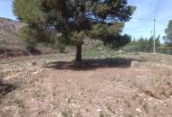 Sale - Country Property - Aspe Sale - Country Property - Aspe