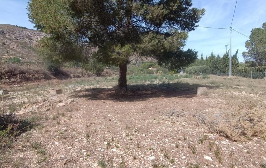 Sale - Country Property - Aspe Sale - Country Property - Aspe