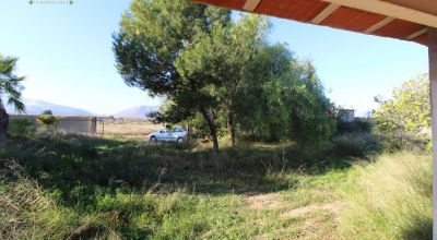 Country Property - Sale - Aspe - Aspe Country Property - Sale - Aspe - Aspe