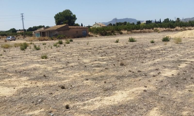 Sale - Land - Aspe Sale - Land - Aspe