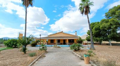 Country Property - Sale - Aspe - Aspe Country Property - Sale - Aspe - Aspe