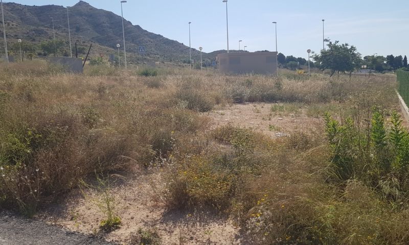 Sale - Land - Aspe Sale - Land - Aspe