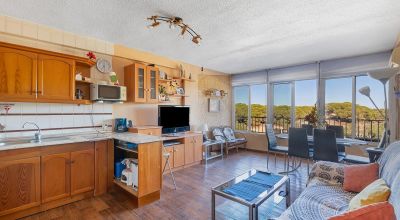 Apartments - Sale - Guardamar del Segura - Guardamar del Segura Apartments - Sale - Guardamar del Segura - Guardamar del Segura