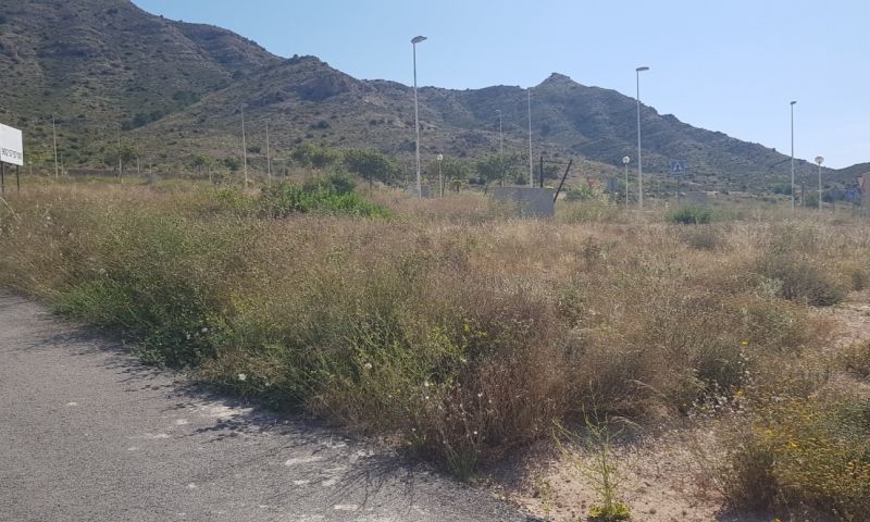 Sale - Land - Aspe Sale - Land - Aspe