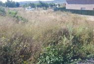 Sale - Land - Aspe Sale - Land - Aspe