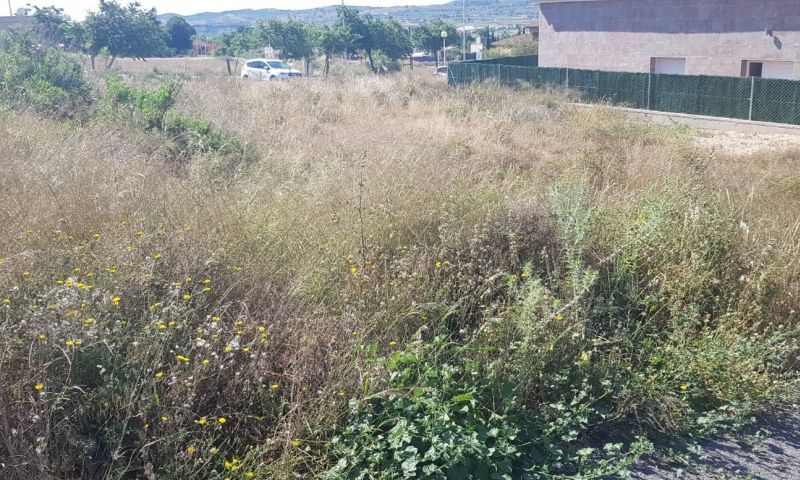 Sale - Land - Aspe Sale - Land - Aspe