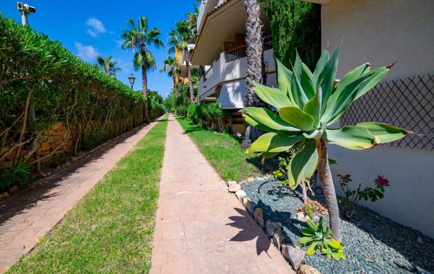 Sale - Apartments - Punta Prima Sale - Apartments - Punta Prima