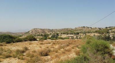 Terreno - Venta - Aspe - Aspe Terreno - Venta - Aspe - Aspe