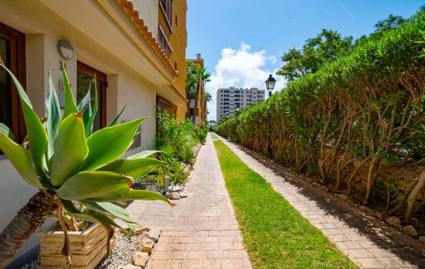 Sale - Apartments - Punta Prima Sale - Apartments - Punta Prima